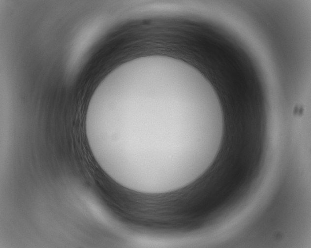 X0000114130766200910081002
