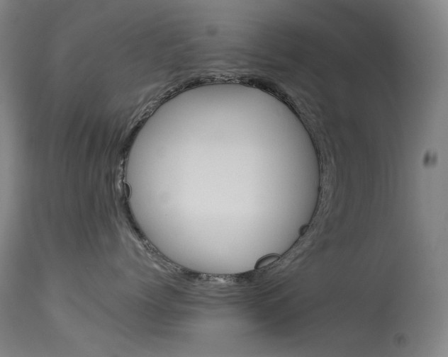 X0000114130768200910081002