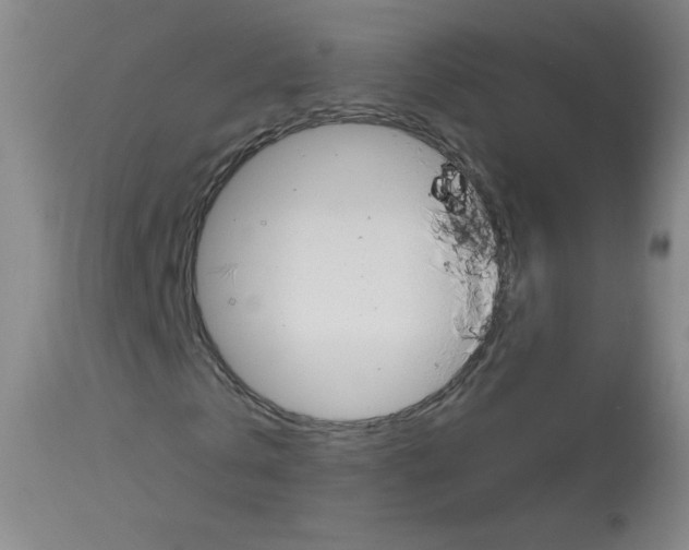 X0000114130769200910081001
