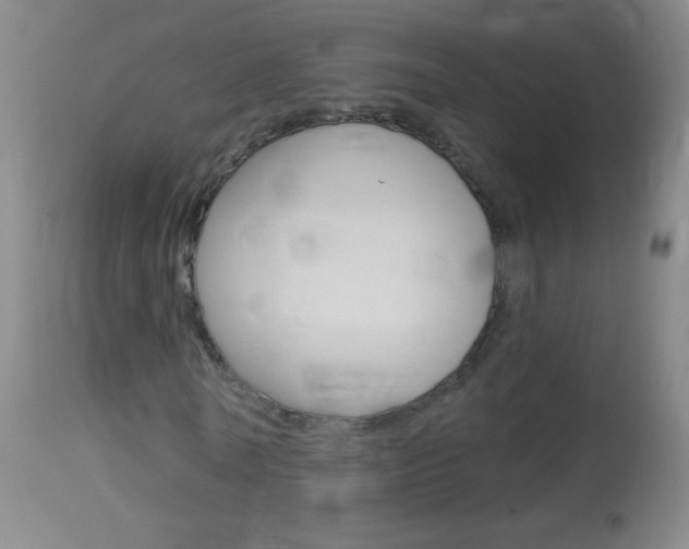 X0000114130770200910081001