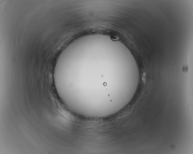 X0000114130771200910081001