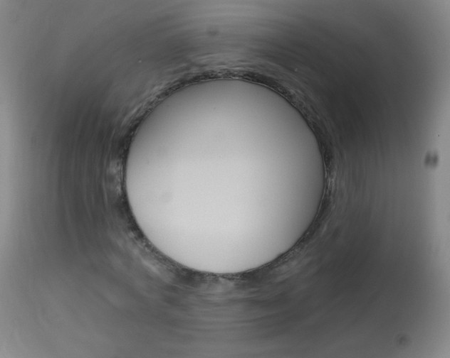 X0000114130772200910081001