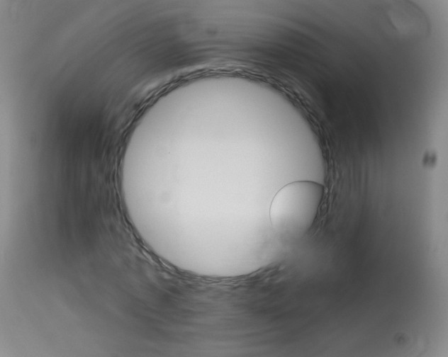 X0000114130773200910081001