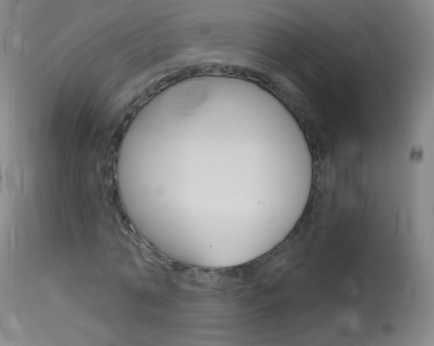 X0000114130774200910081001