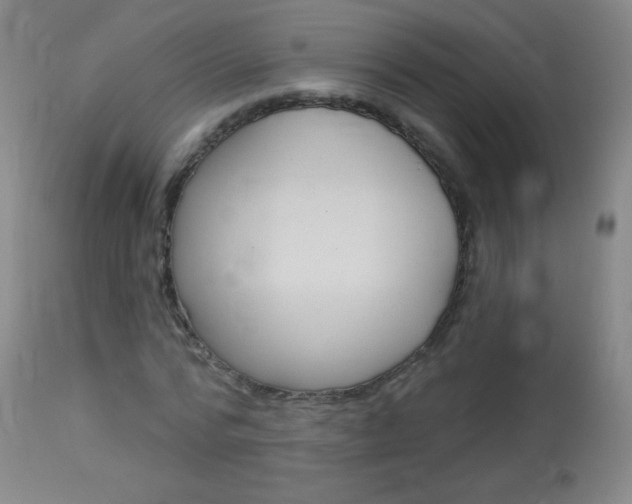X0000114130776200910081001