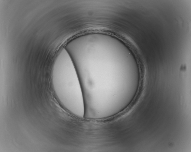 X0000114130777200910081001