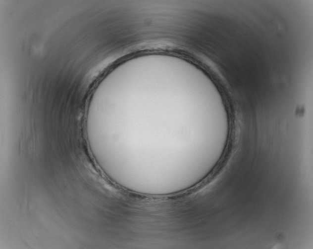 X0000114130778200910081001