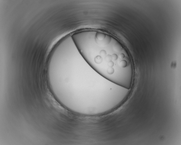 X0000114130779200910081001