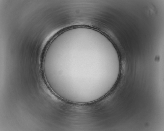 X0000114130780200910081001