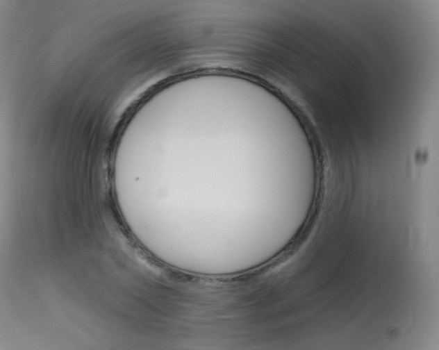 X0000114130782200910081001