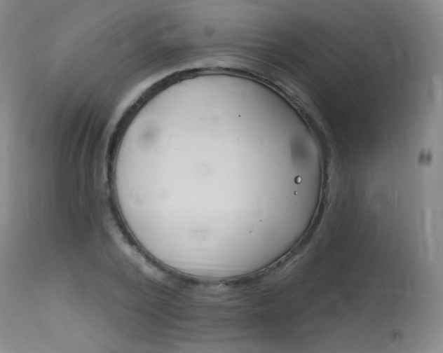 X0000114130784200910081001