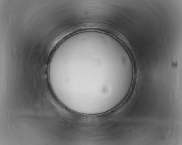 X0000114130786200910081001