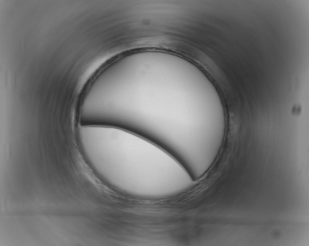 X0000114130788200910081001