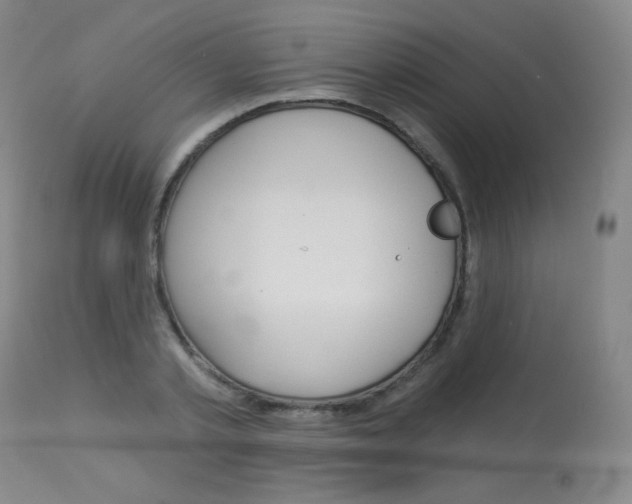 X0000114130789200910081001