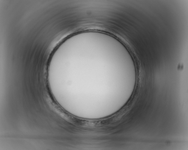 X0000114130790200910081001