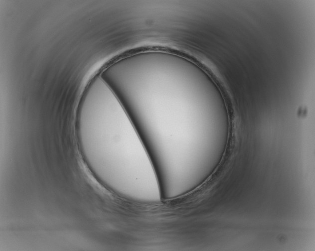 X0000114130791200910081001