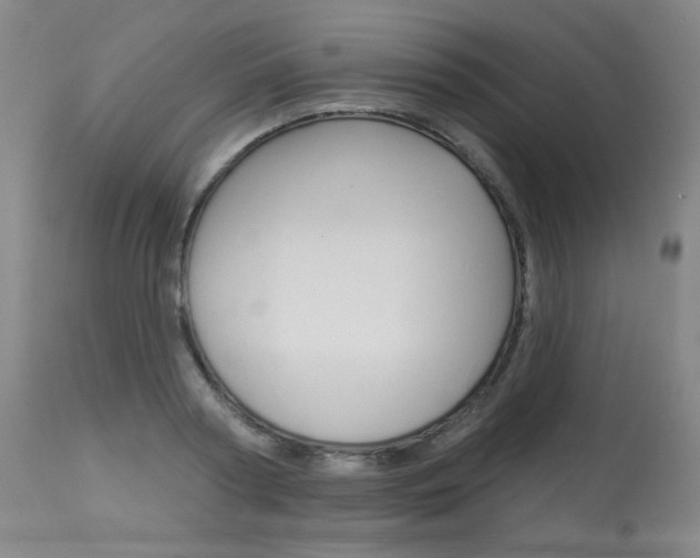 X0000114130794200910081001
