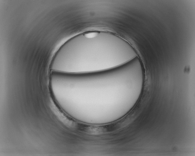 X0000114130795200910081001