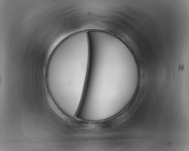 X0000114130796200910081001