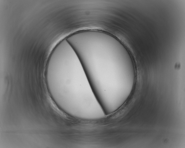 X0000114130797200910081001