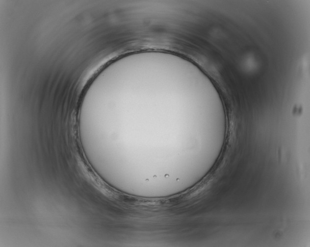 X0000114130798200910081001