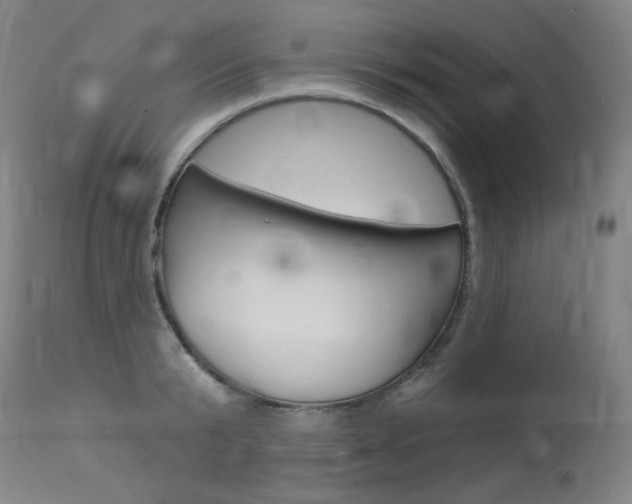X0000114130799200910081001