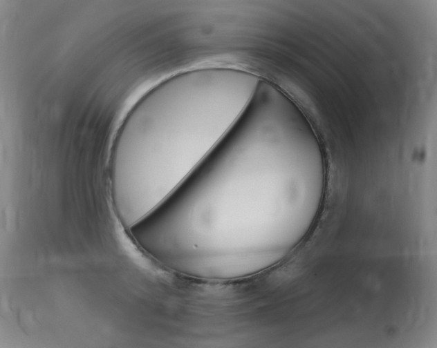 X0000114130800200910081001