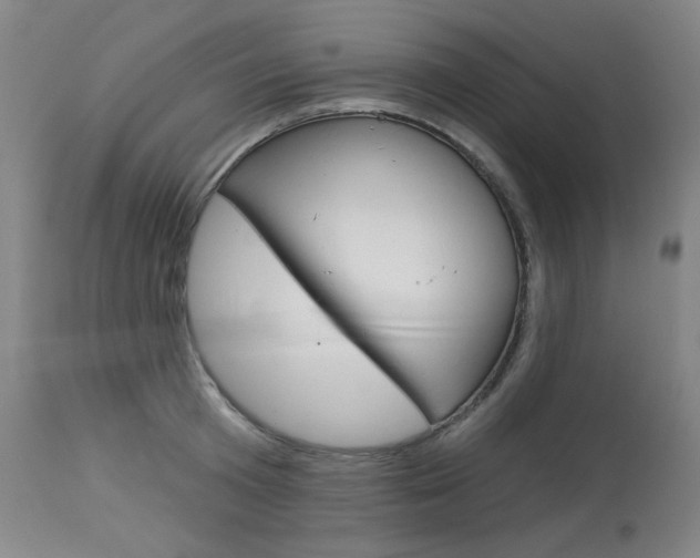 X0000114130801200910081001