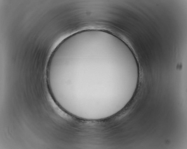 X0000114130803200910081001
