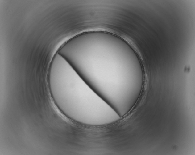 X0000114130805200910081001