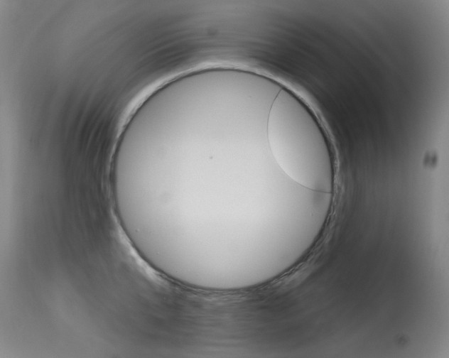 X0000114130807200910081001