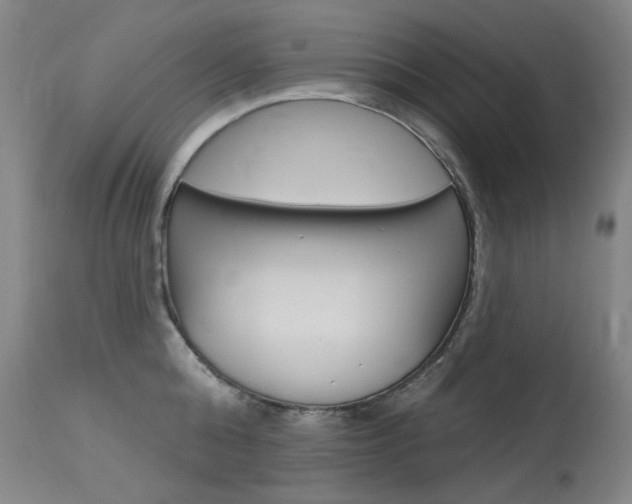 X0000114130808200910081001