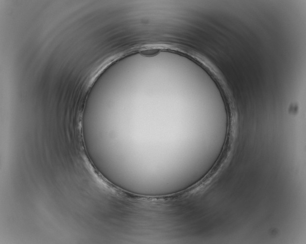 X0000114130809200910081000