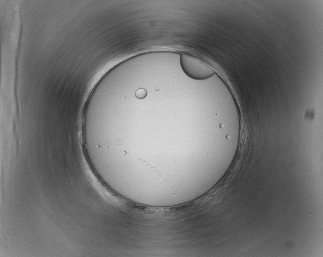 X0000114130811200910081000