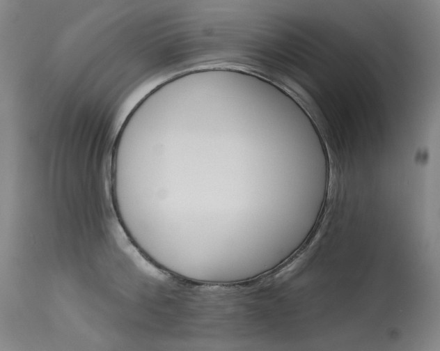 X0000114130812200910081000