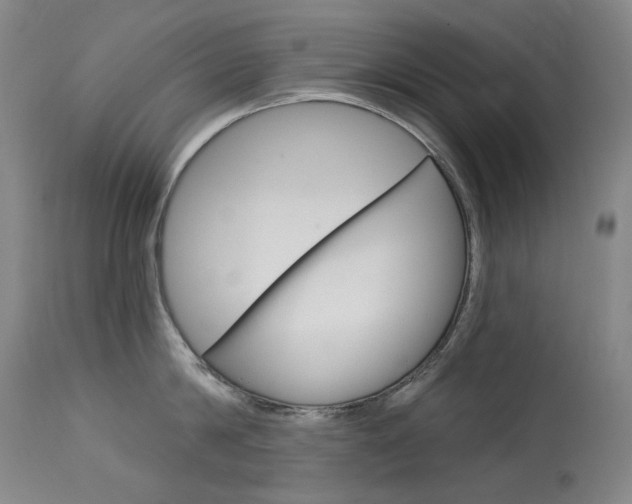 X0000114130814200910081000