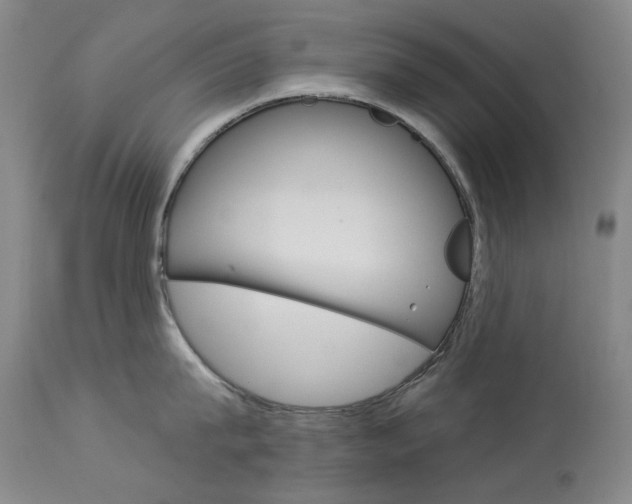 X0000114130815200910081000