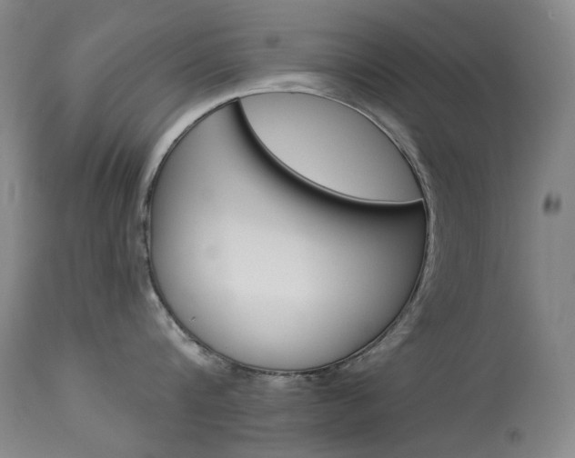 X0000114130816200910081000