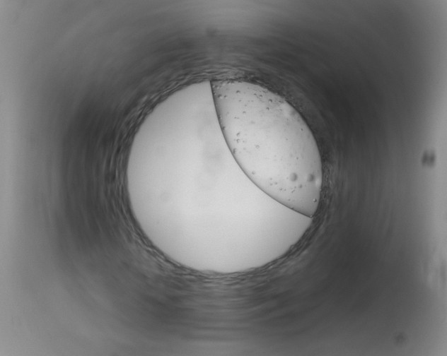 X0000114130818200910081000