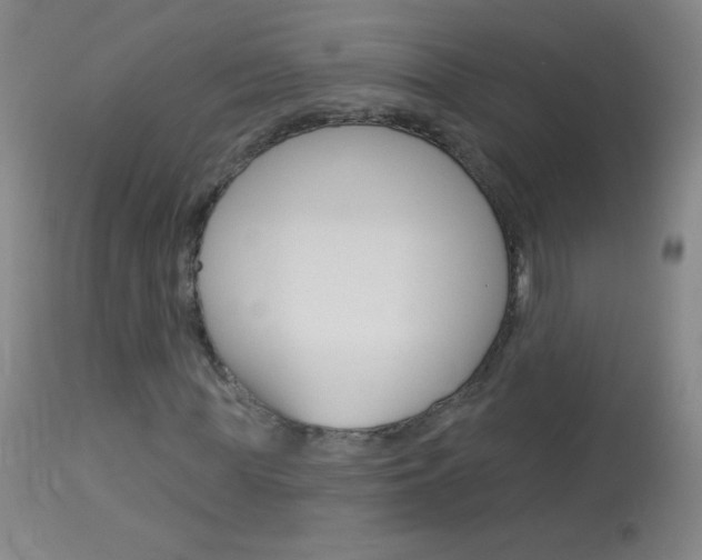 X0000114130819200910081000
