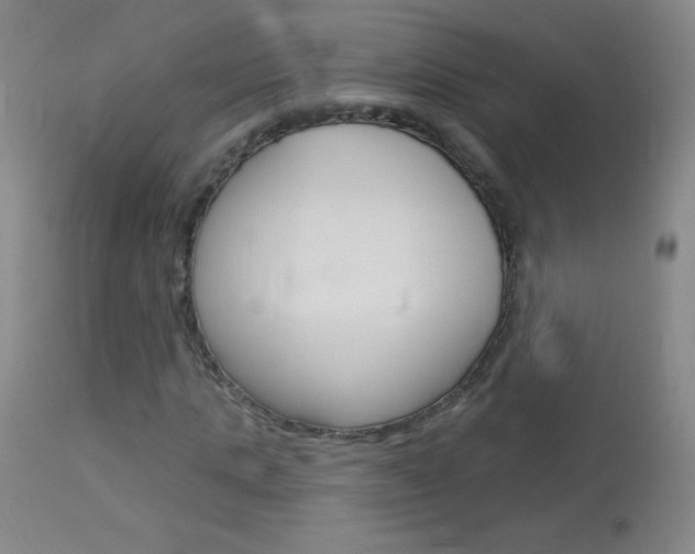 X0000114130821200910081000