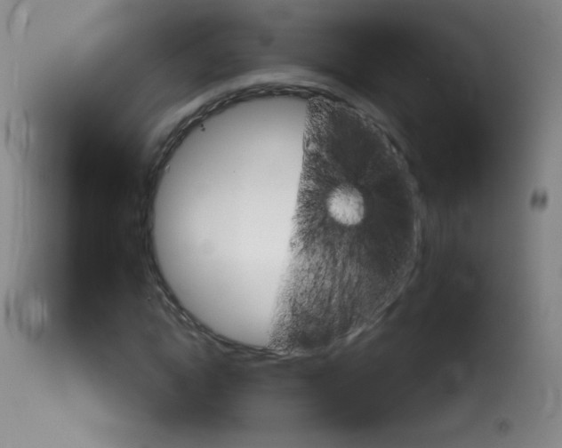 X0000114130822200910081000