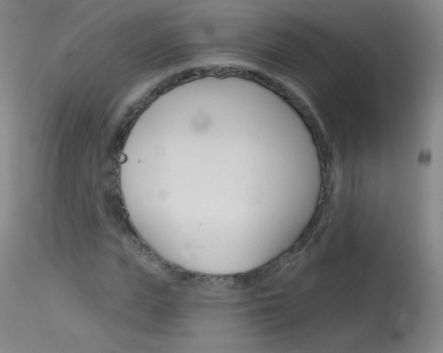 X0000114130823200910081000