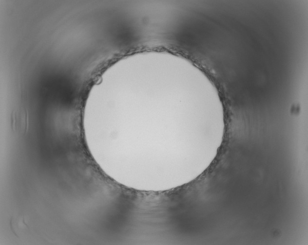 X0000114130824200910081000