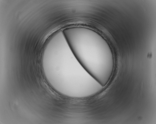 X0000114130826200910081000
