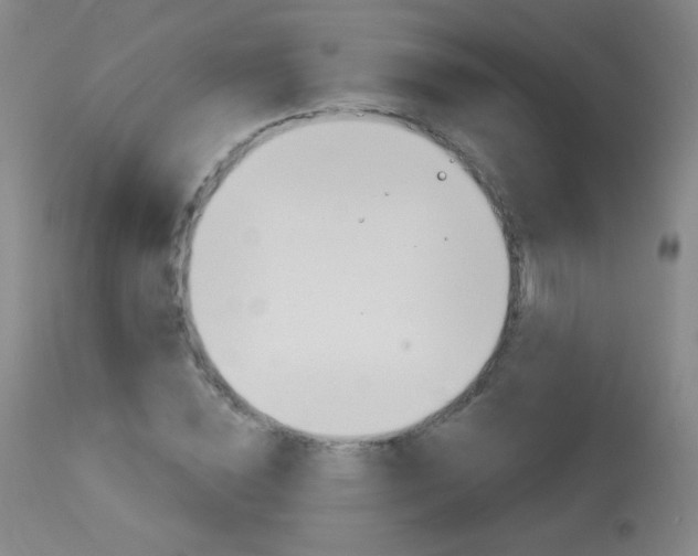 X0000114130828200910081000
