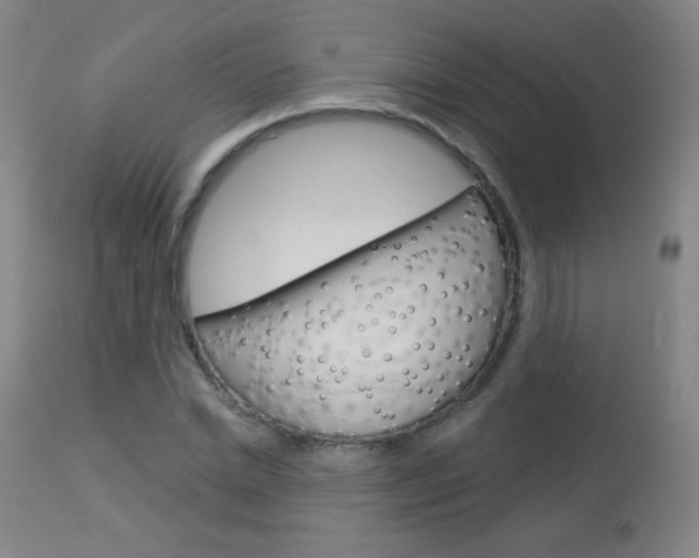 X0000114130830200910081000