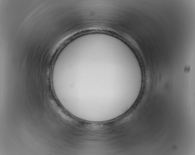 X0000114130831200910081000