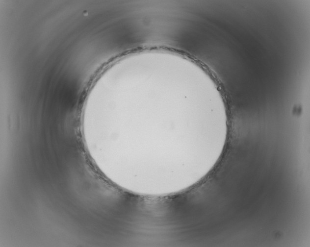 X0000114130832200910081000