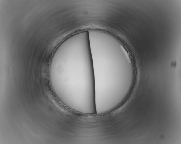 X0000114130833200910081000